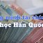 Bảo Hiểm Cho Du Học Sinh Hàn Quốc