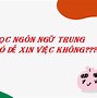 Người Việt Học Tiếng Trung