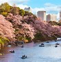 Trường Tokyo Sakura